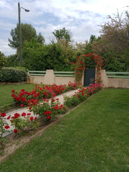 Image d'une réalisation d'une allée en mineralstar beige accompagné d'un par terre de rose qui s'harmonise parfaitement avec la résine naturel et drainante de Daniel Moquet AIx-en-Provence