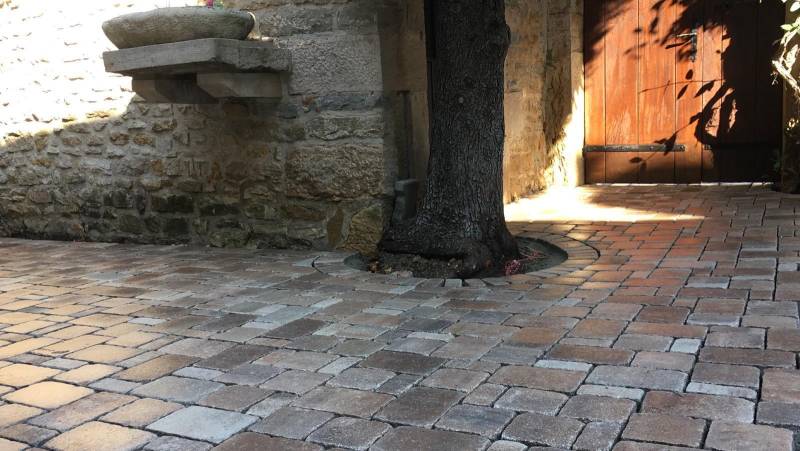 Photo Terrasse en pavé à venelles