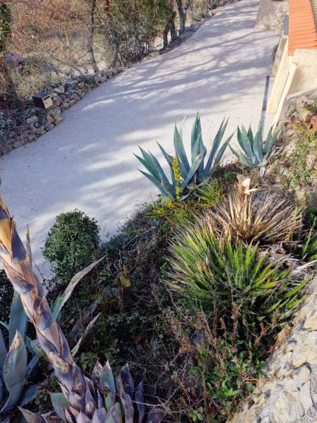 Réalisation d’une cour en béton désactivé à Eguilles par Daniel Moquet Aix-en-Provence .