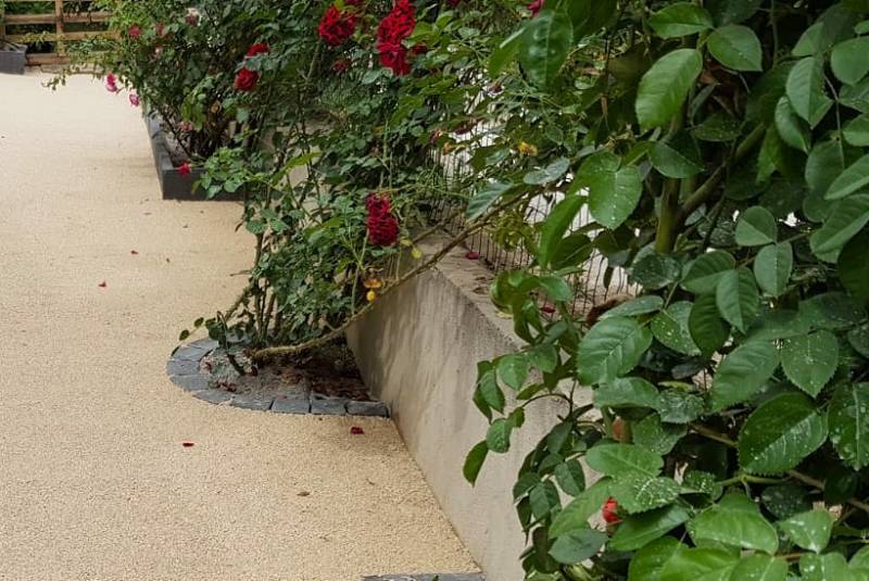 Aménagement d'un allée piétonne a coté d'une haie verdoyante, parfait pour notre résine drainante qui laisse passer les précipitations par Daniel Moquet Aix-en-Provence