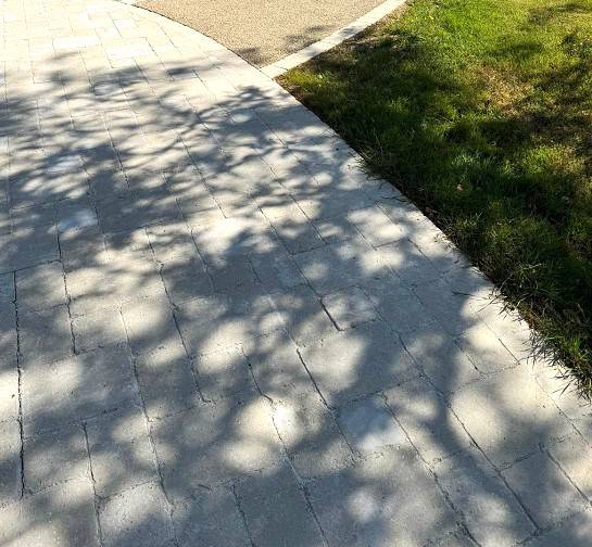 Réinventez votre extérieur avec une allée carrossable en pavés béton et bandes végétalisées à Aix-en-Provence