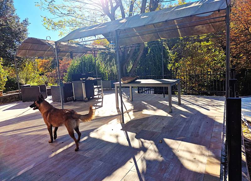 Aménagement d'extérieur d'un terrasse en dalle de béton au milieu de la nature à Eguilles