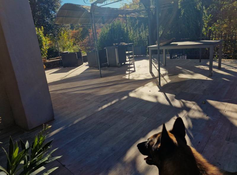 Réalisation de Daniel Moquet Aix-en-Provence au milieu de la nature avec un aménagement extérieur d'une terrasse en dalle de béton à Eguilles